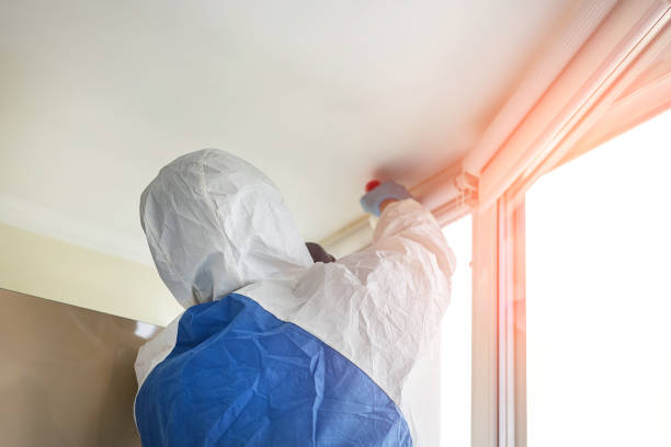 Best Mold Odor Removal Services  in USA